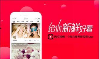 吃瓜鹅娱乐速报视频,最新热点事件大盘点