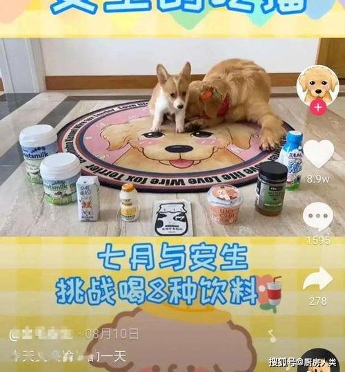 娱乐吃瓜酱外婆养大的羊羊视频,娱乐吃瓜酱视频背后的温馨故事