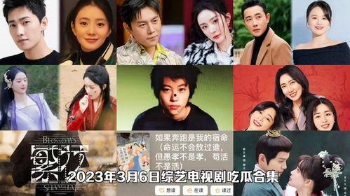 娱乐圈吃瓜合集视频,揭秘热门吃瓜合集背后的故事