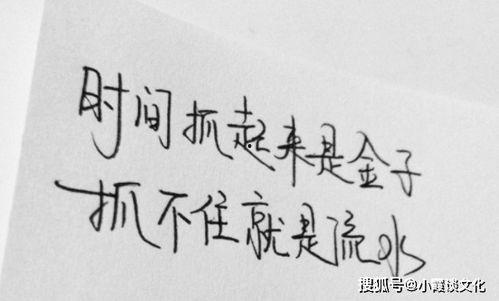 娱乐吃瓜酱经典语录短句,金句频出，笑料不断