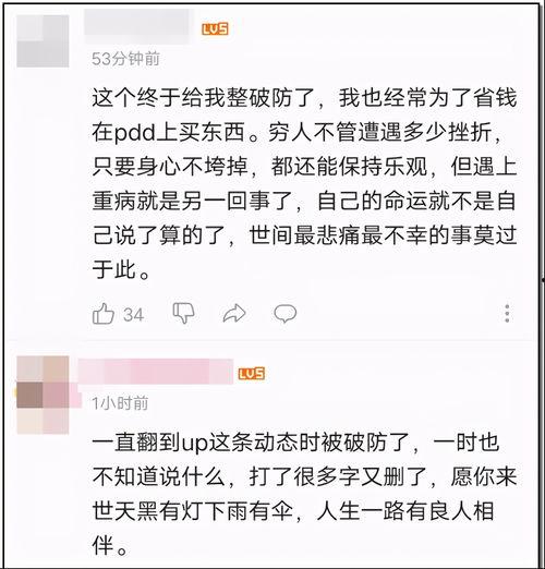 娱乐圈吃瓜游戏视频,视频带你领略明星幕后故事