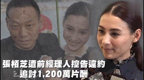 娱乐吃瓜音乐是什么,盘点那些让人笑中带泪的流行旋律