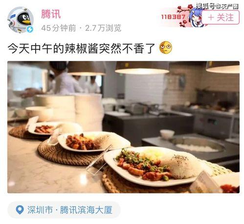 娱乐吃瓜酱素食小说,揭秘吃瓜酱笔下的素食小说