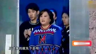 娱乐综艺吃瓜仔小说,揭秘娱乐圈幕后真相