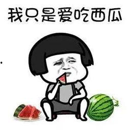 娱乐圈吃瓜的瓜,揭秘明星背后的故事与争议