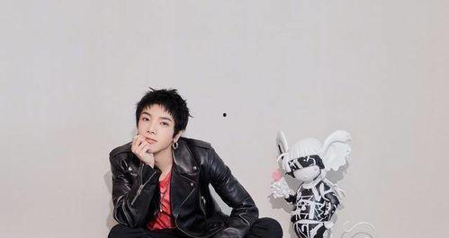 爱豆吃瓜娱乐酱华晨宇,爱豆吃瓜娱乐酱，揭秘明星背后的故事