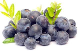 娱乐吃瓜酱蓝莓