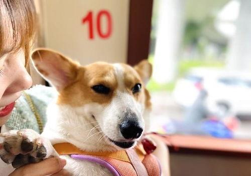 娱乐爆料吃瓜八卦图片搞笑