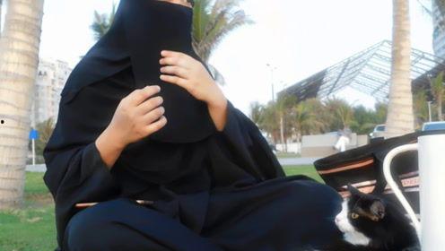 娱乐吃瓜君七七