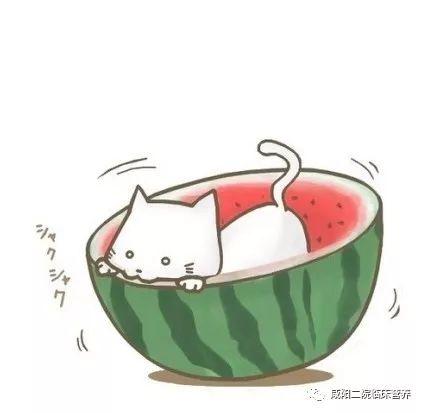 娱乐吃瓜酱头像图片,揭秘娱乐圈那些不为人知的幕后故事